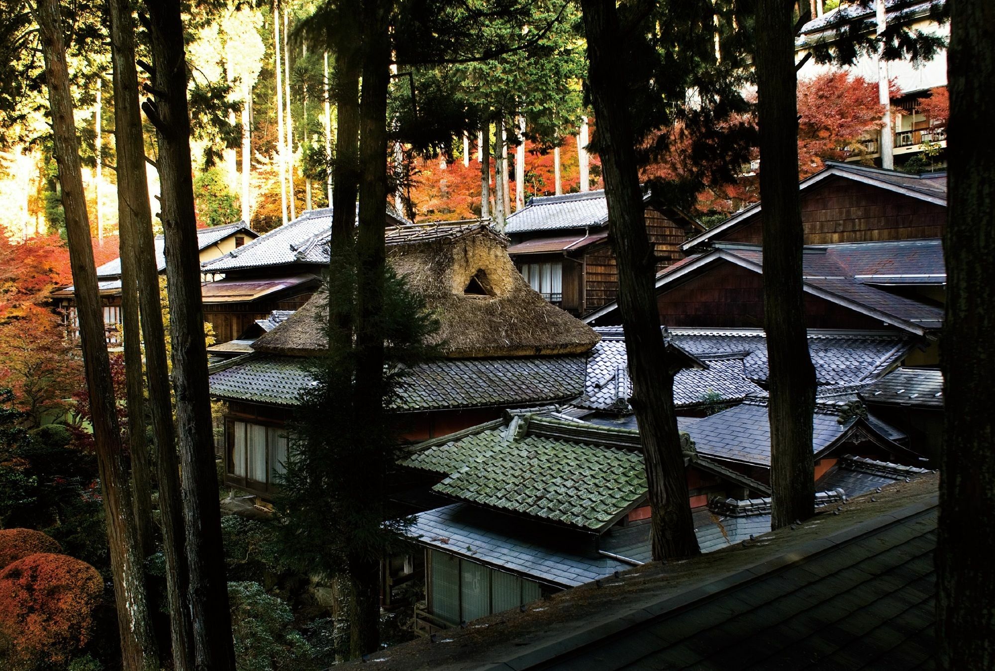 Yunoshimakan Otel Gero Dış mekan fotoğraf